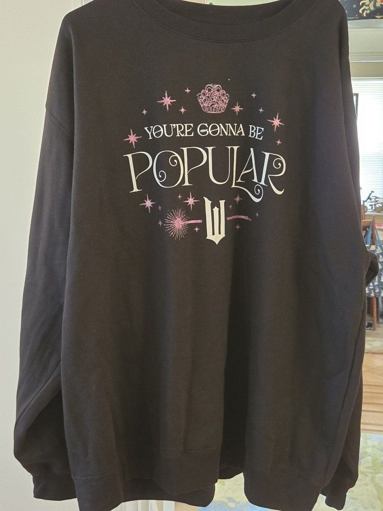 Wicked You're Gonna Be Popular Sweatshirt GLITTERY Soft UNISEX 3XL