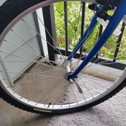 Trek Mountain Bike