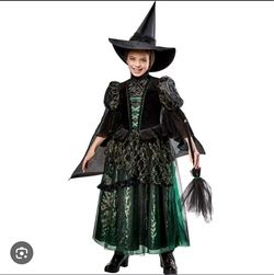 Girls wicked Witch Halloween Costume