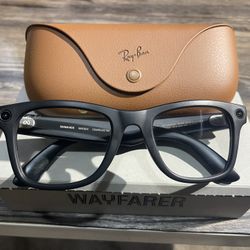 Ray-Ban Meta AI Wayfarer Transitions RW4008 601S1M 53 (Large) Matte Black *NWT