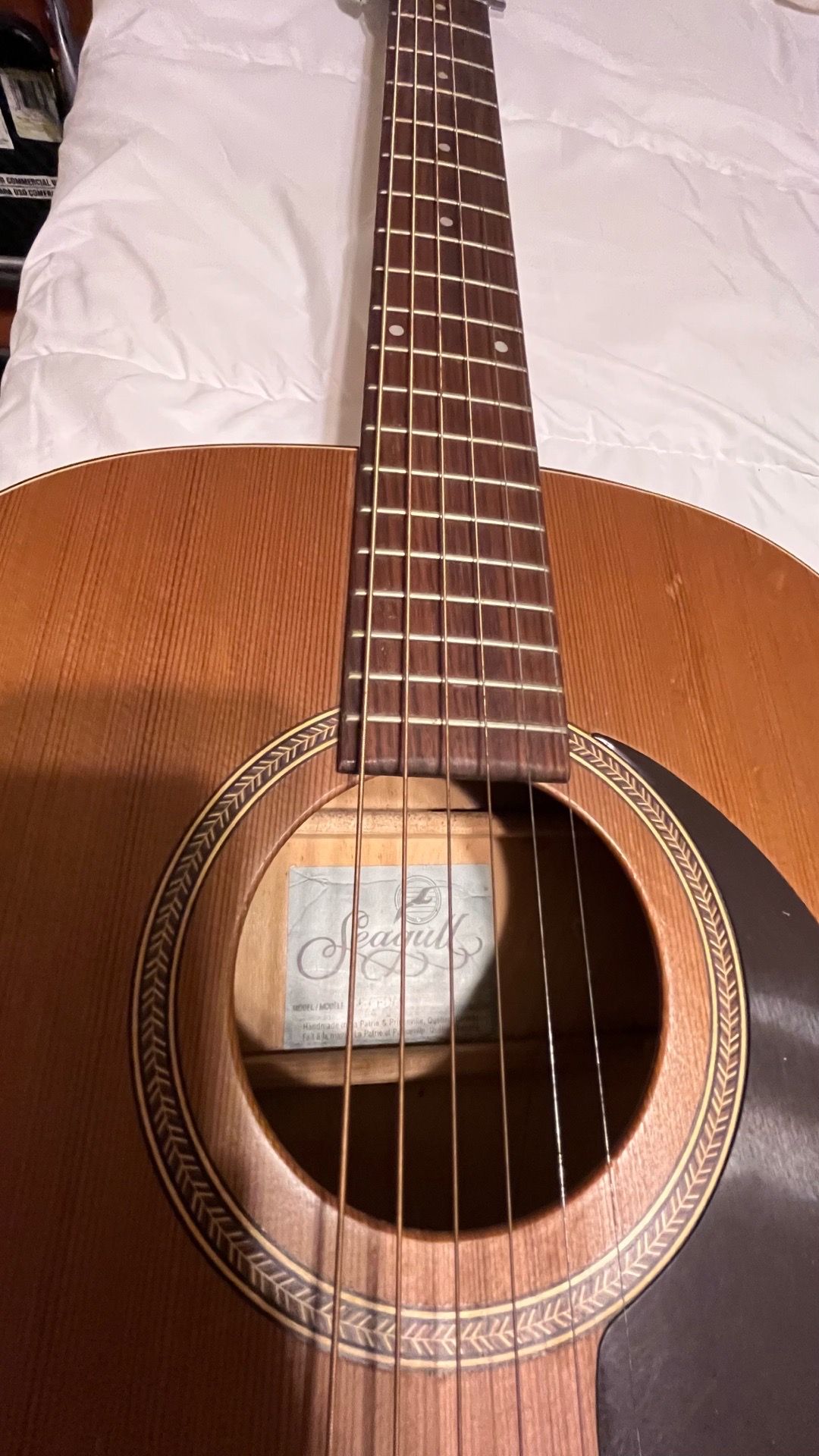 Acoustic Guitar - see notes!