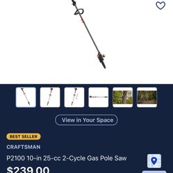 10-in 25-cc 2-Cycle Gas Pole Saw