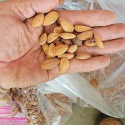 Raw Almonds/almendra 