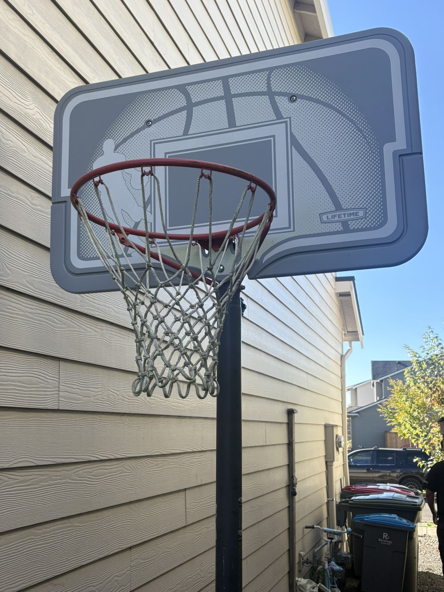 Free Lifetime Basketball Hoop
