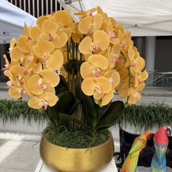 Faux Yellow Orchids