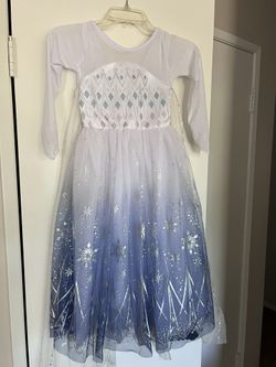 Frozen Princess Dress And Accessories 