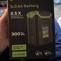 Green works Battery 