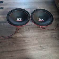 2 12 Inch MTX Subwoofers