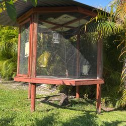 Bird  Large Cage 