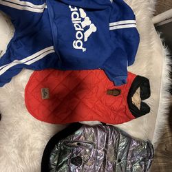 Dog Items