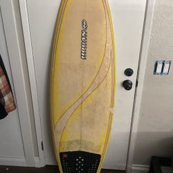 hogan surfboard 