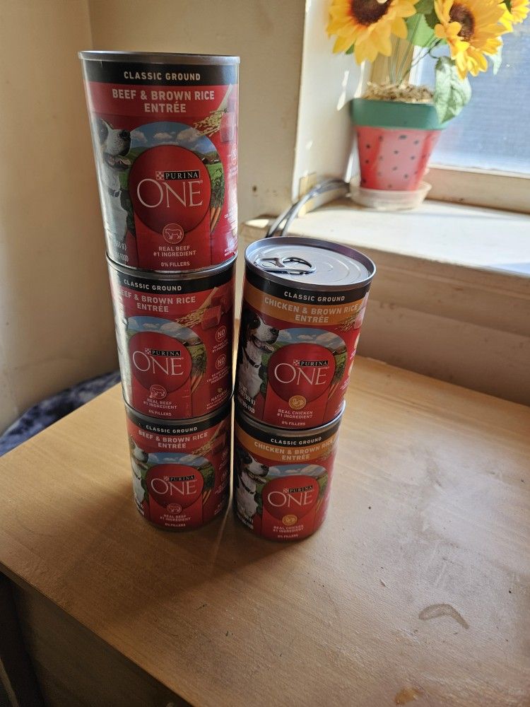 Dog Food