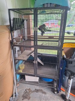 Ferret Cage