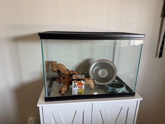 20 gallon high Tank with Accessories