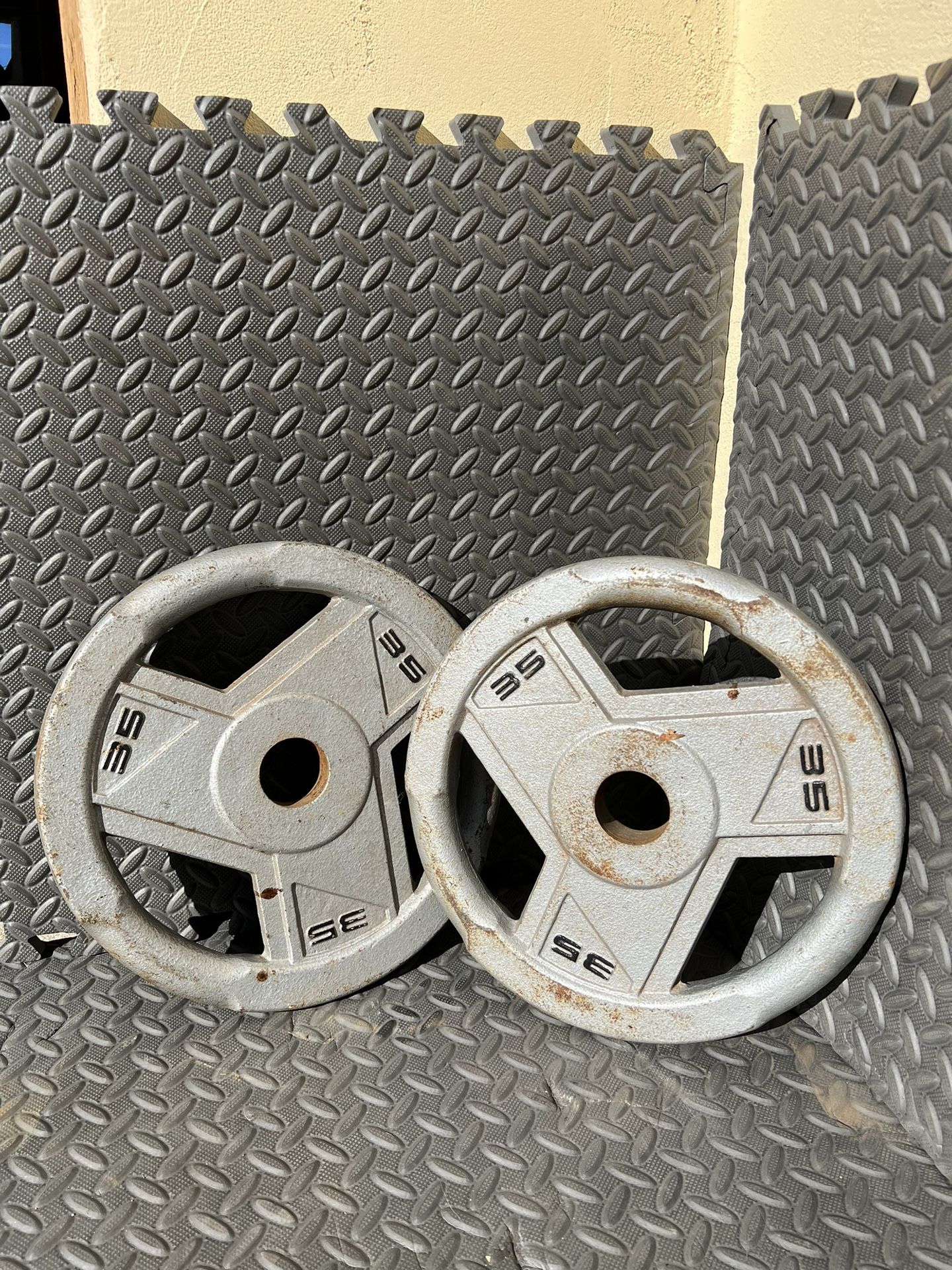 35 Pound Olympic Weights