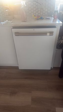 Cafe dishwasher