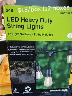 Heavy Duty Led String Lights - Edison bulbs