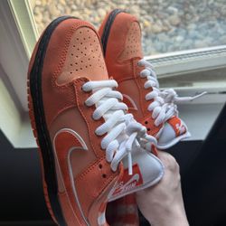 Nike SB Orange Lobster