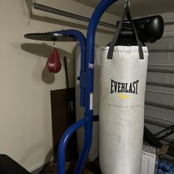 Everlast Punching Bag And Speed Bag Plus Stand 