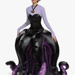 Costumes and accessories (sold together)