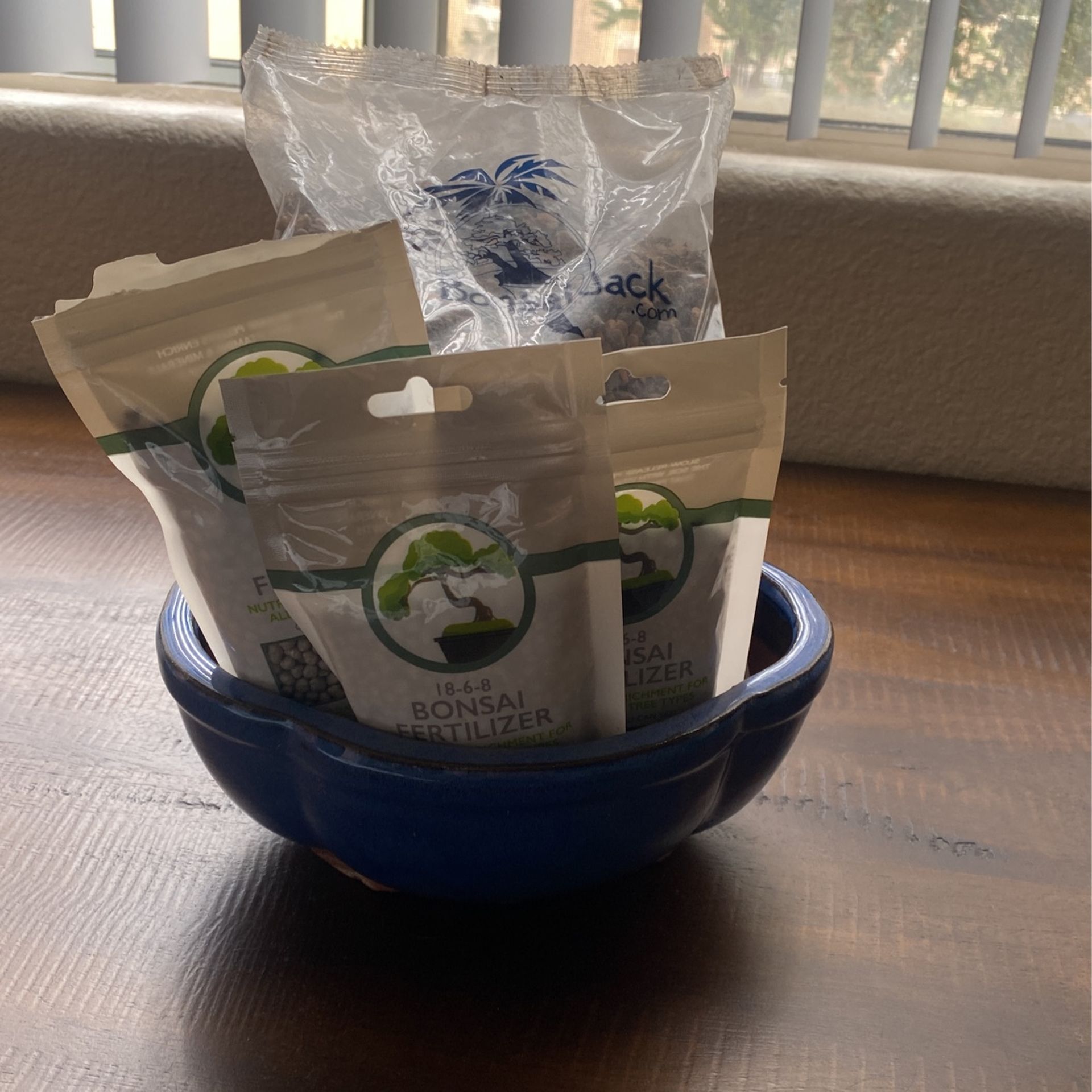 Bonsai Tree Starter Kit