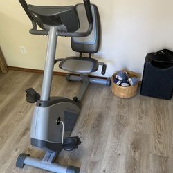 Exercise Bike (recumbent)