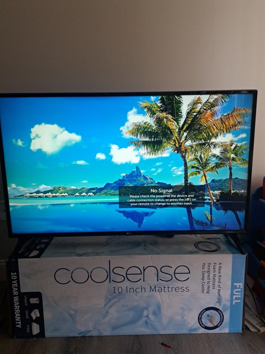 49in LG TV (NEED GONE ASAP)