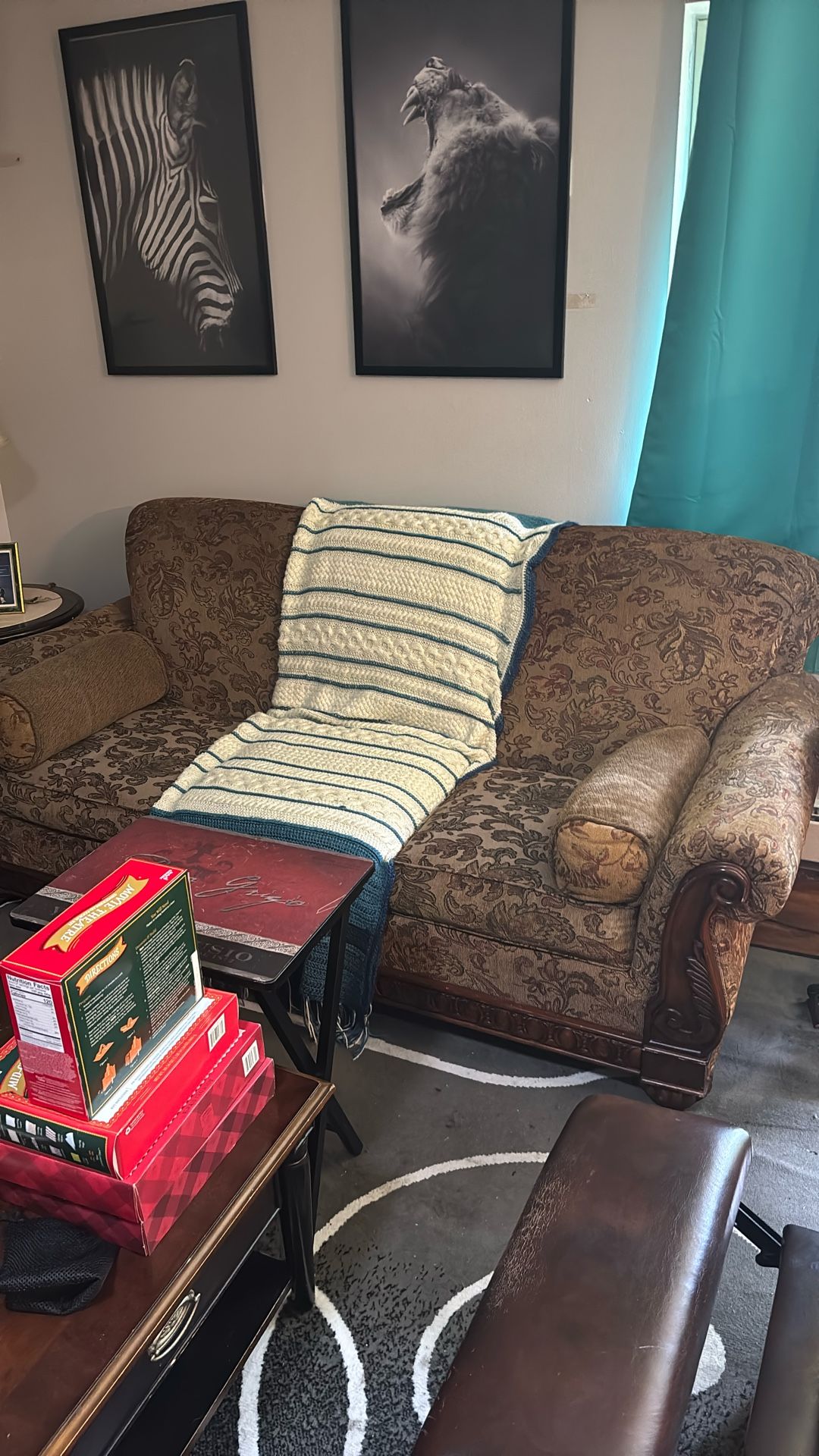 Cloth Patterned Couch
