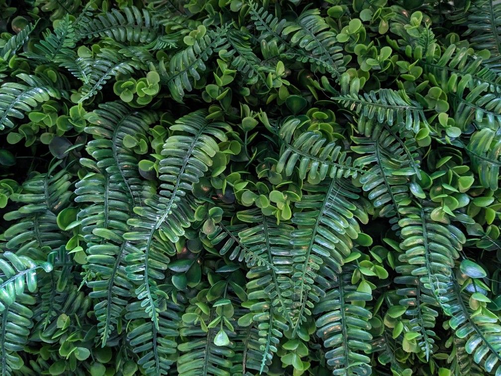Faux Fern Wall