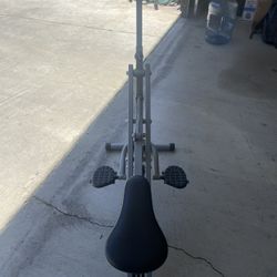 Sunny Fitness “ Up-Right Rowing / Glute Machine “