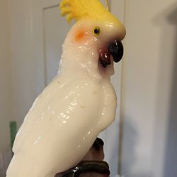 Candle Parrot