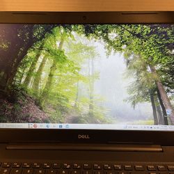 DELL INSPIRON 15 3000