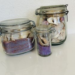 SHELLS IN JARS 3 Jars For $25