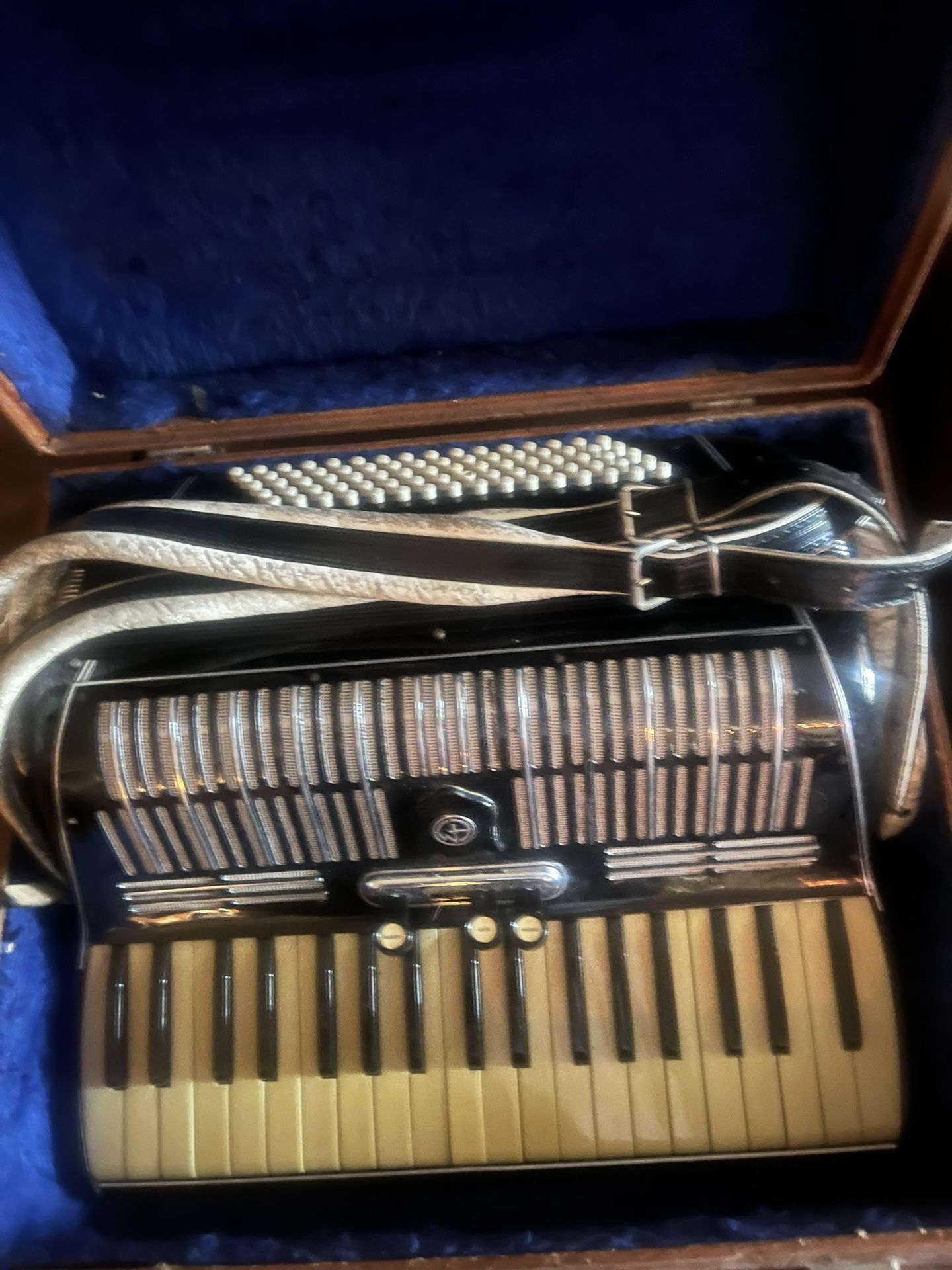 Italian Accordion