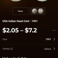 USA Indian Head 1 Cent Pennies 