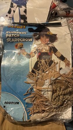 Pumpkin patch scarecrow