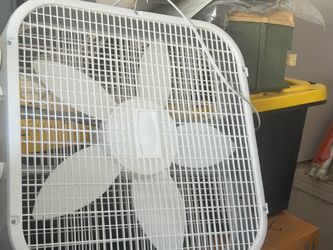 Fan