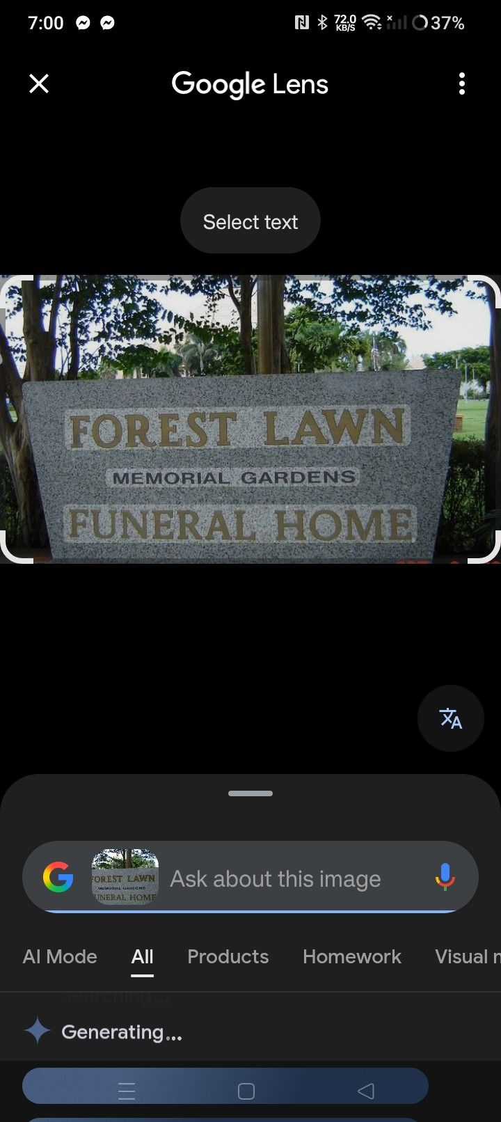 Cemetery Plot