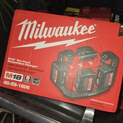 6 Pack Charger