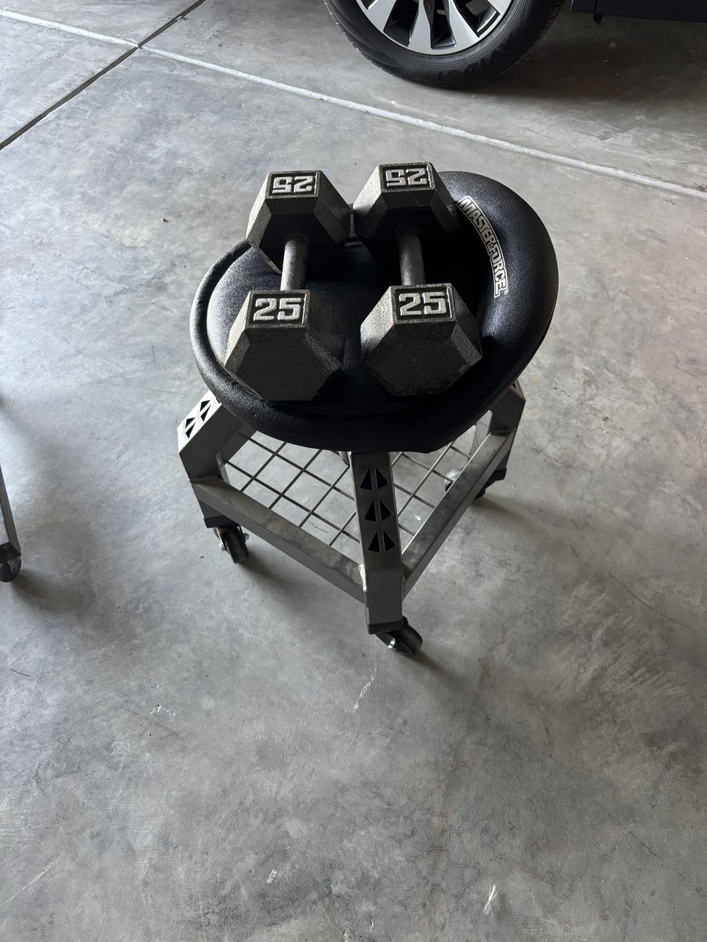 25 pound cast-iron weights