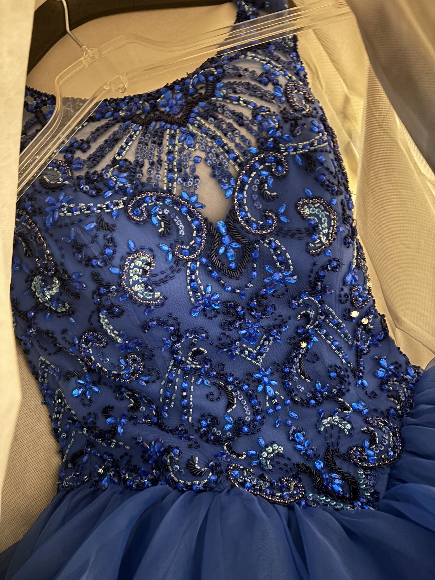 Quinceañera dress / Ball Gown