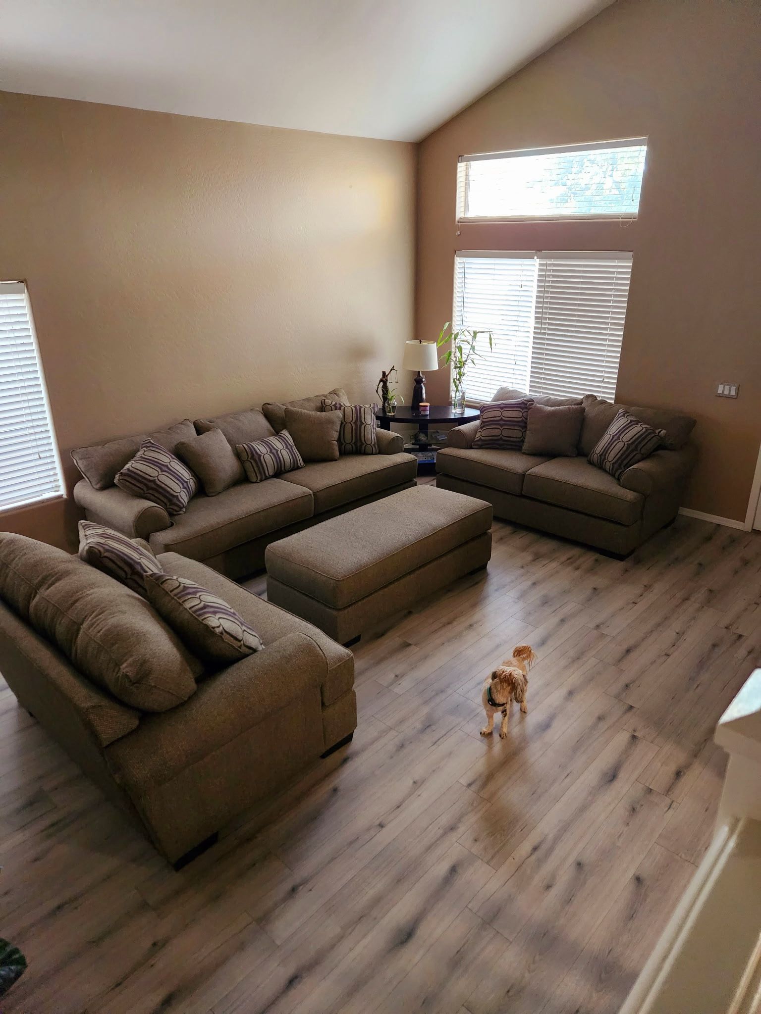 Sofa And Couch Set