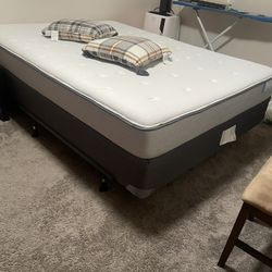Twin And King Bed Free