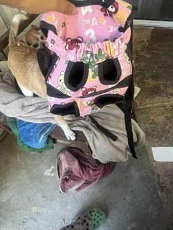 Doggy Carrier