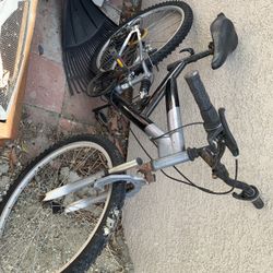 Mountain Bike