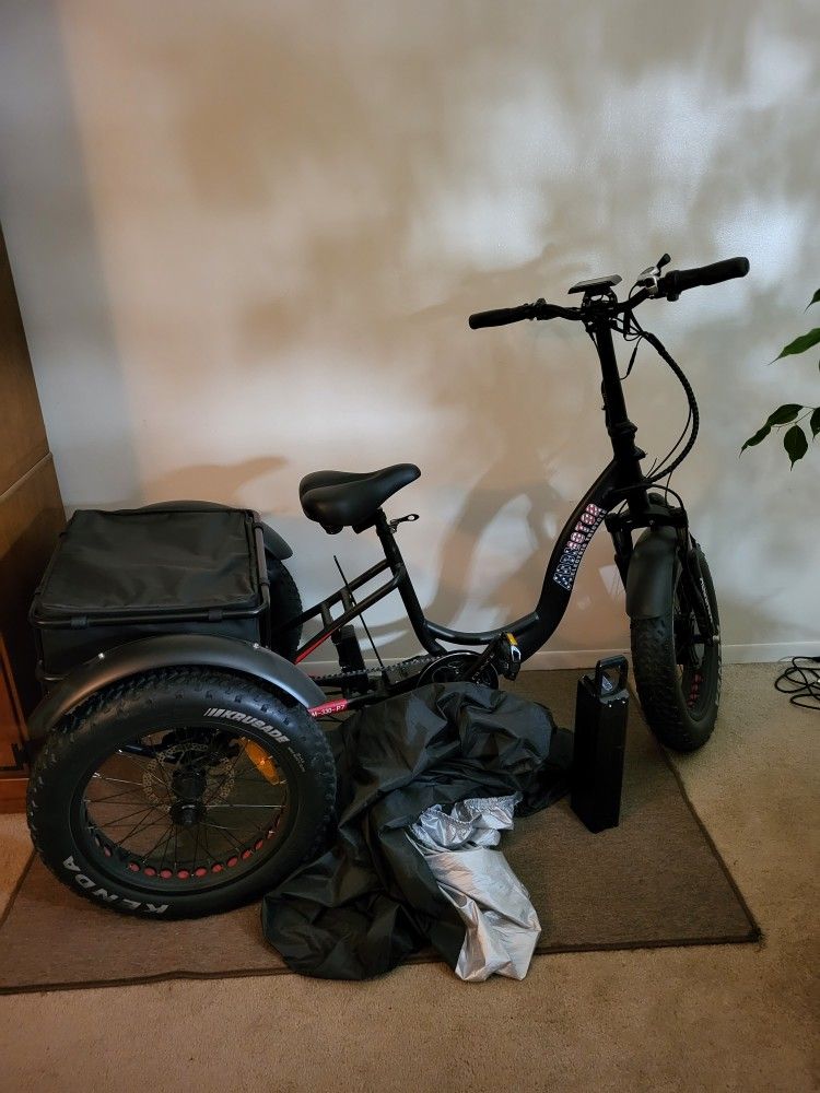Electric Adult Trike