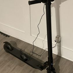 Electric Scooter (adult)