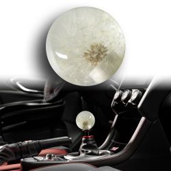 Universal 70MM Racing Crystal Ball Dandelion Real Flowers Shift Knob Shift Head -(3-SK-FLA-B-WH