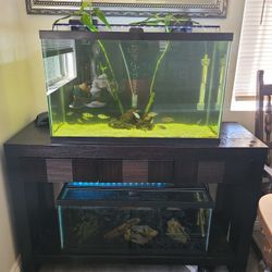 Fish Tank Aquarium 