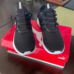 Brand New Puma Gym Shoes 